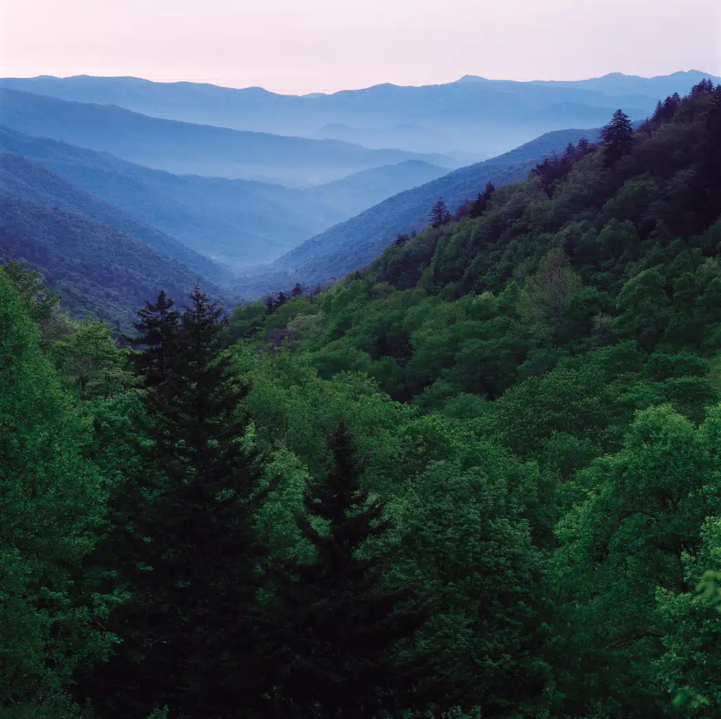 Great Smoky Mountains