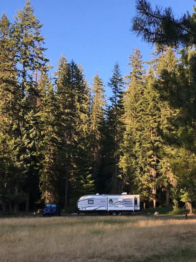 rv and truck parked among trees 
