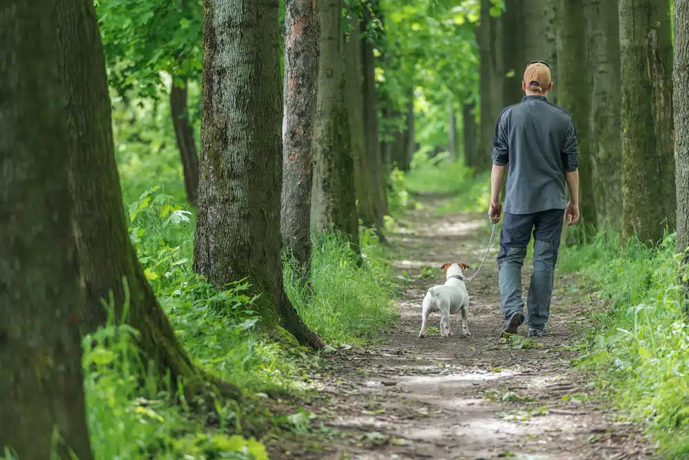 man hiking with dog in the woods