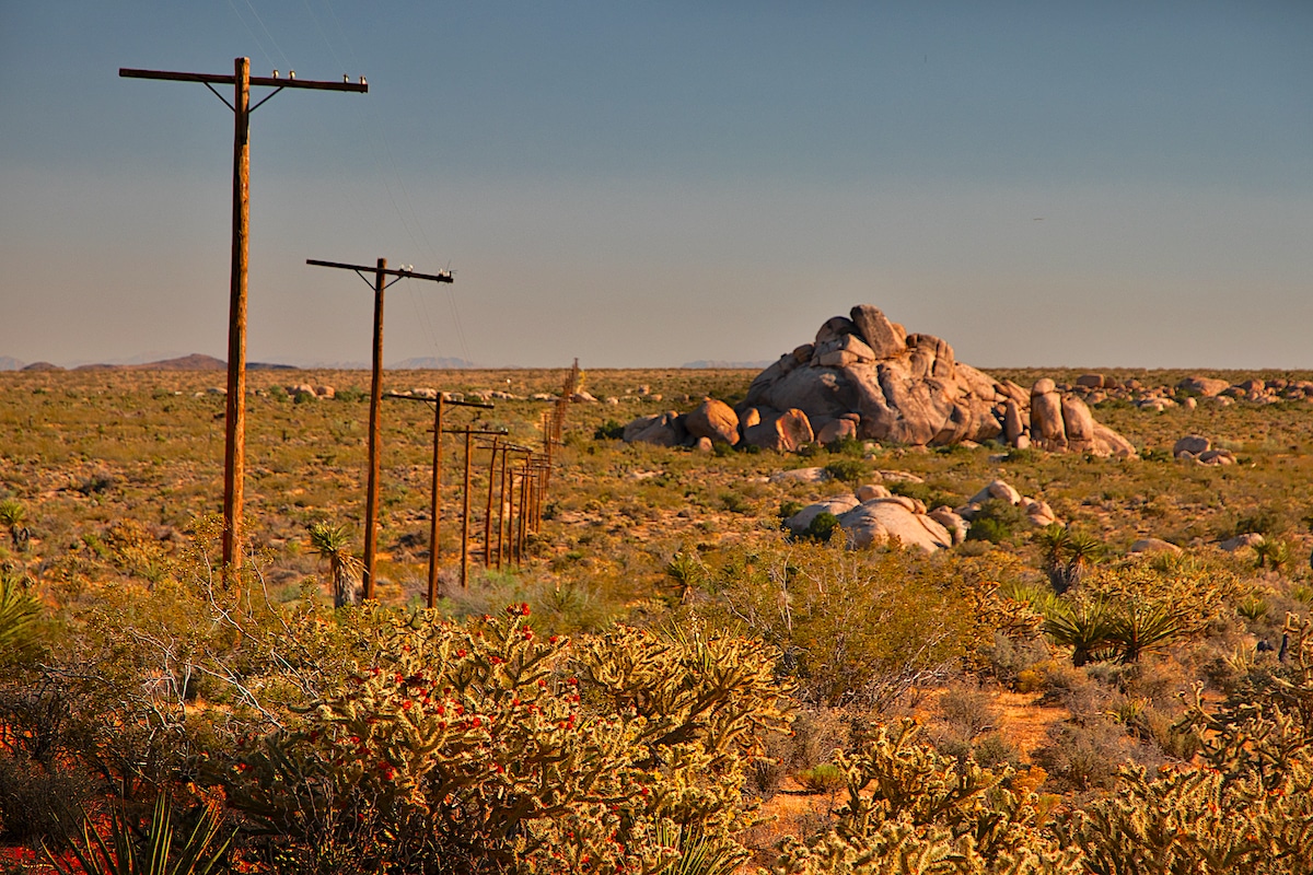 Top 10 Campgrounds Near Mojave National Preserve - Couch Potato Camping