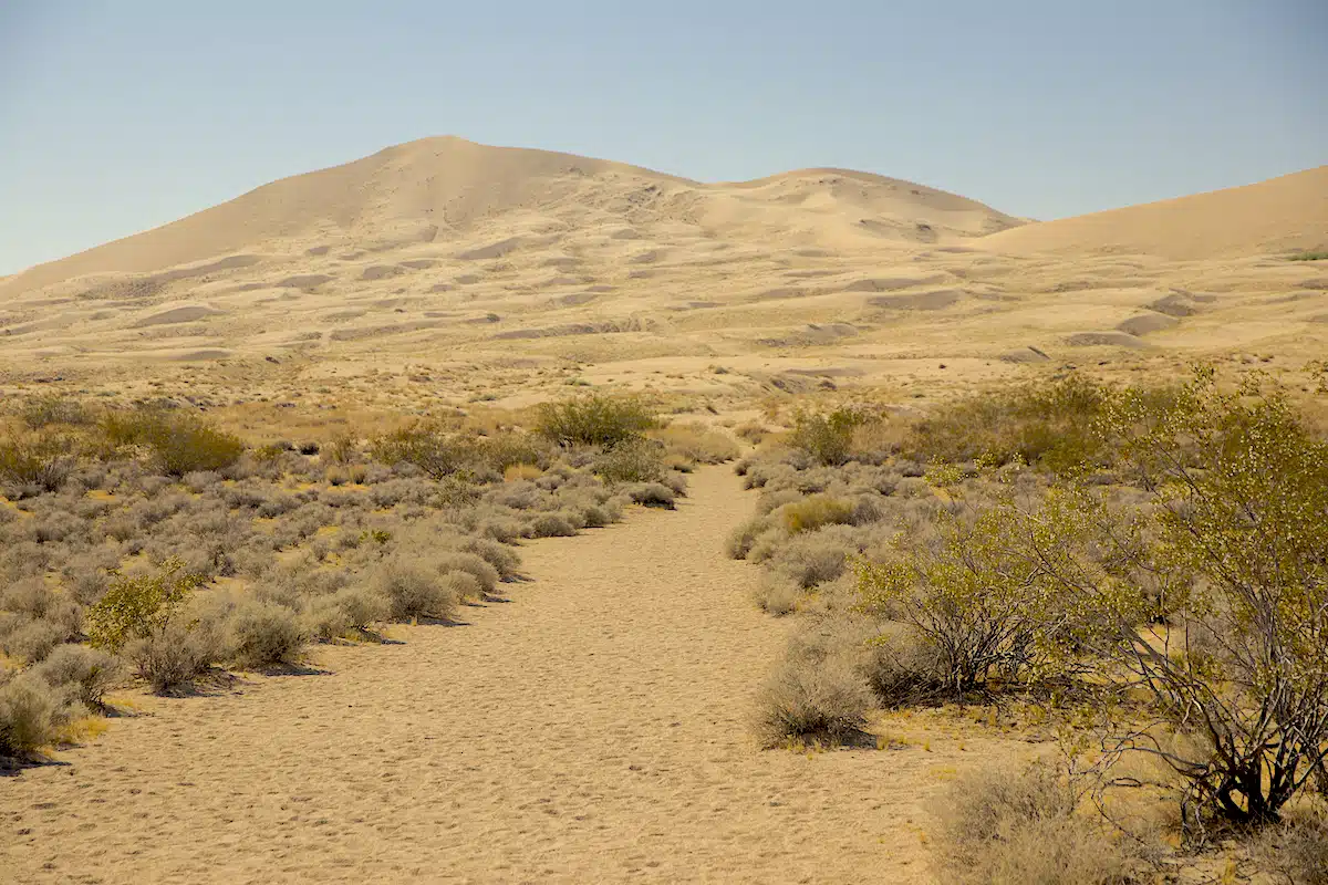 Mojave National Preserve Sand