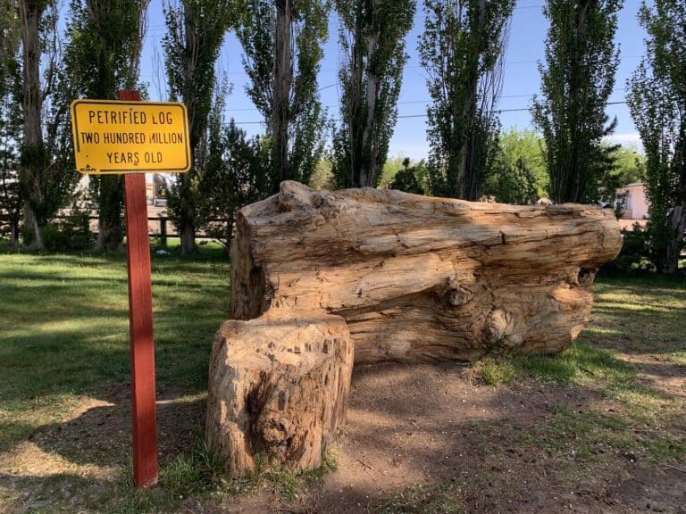 Petrified Forest KOA Campground Review: Holbrook, AZ