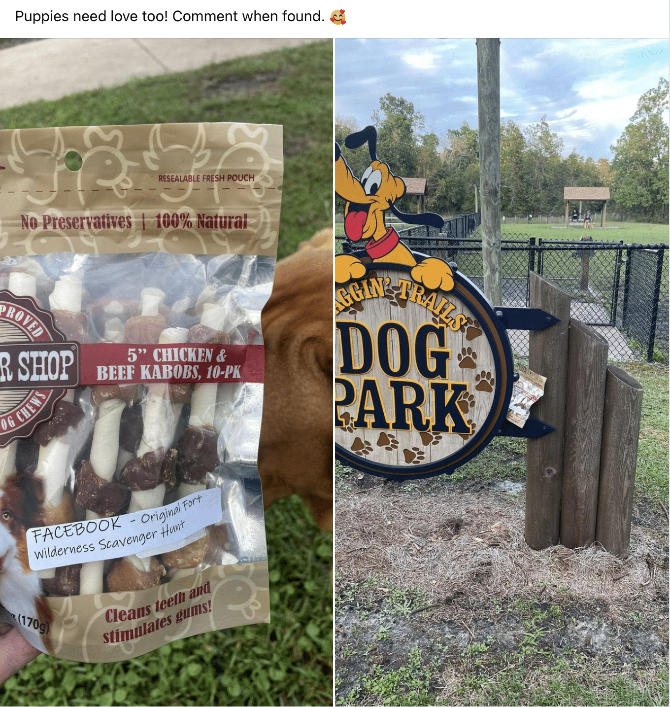 bag of dog treats next to Pluto Dog Park sign at Fort Wilderness Campground