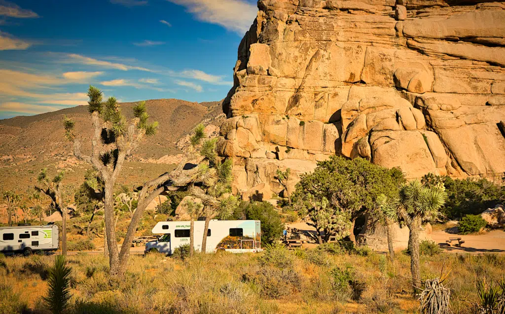 Joshua Tree National Park Campground