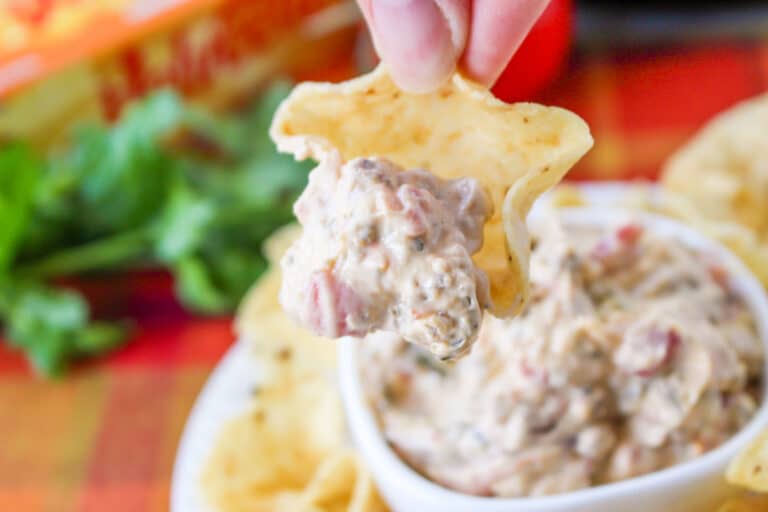 Sausage Cheese Dip Slow Cooker Recipe