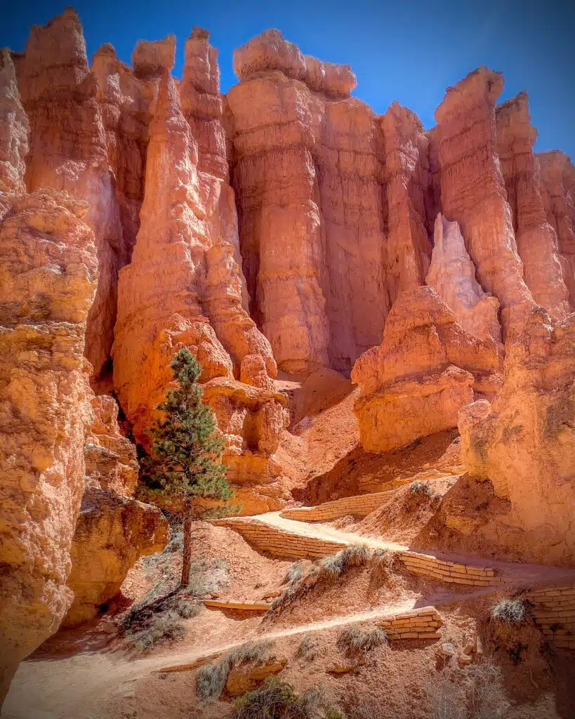 Orange colored Hoodoos in Bryce Canyon National Park