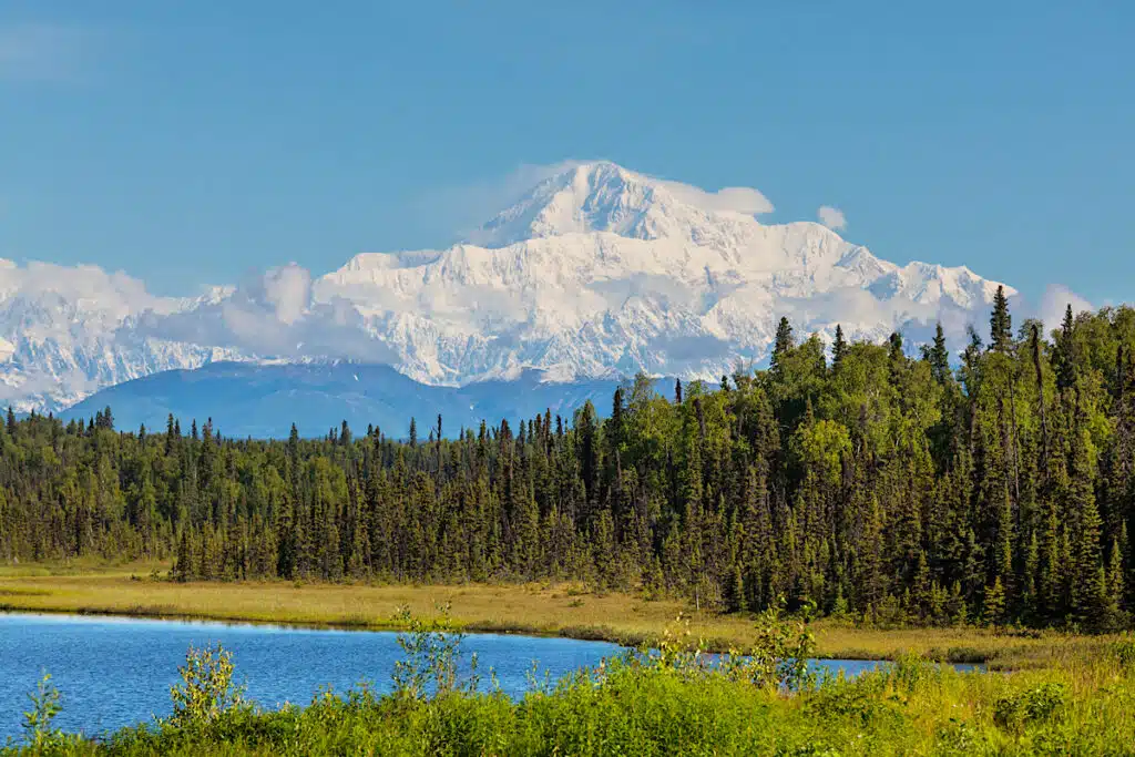 McKinley Peak with forest and lake in front in Denali National Park