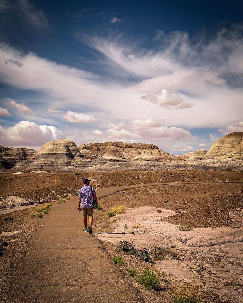 Blue Forest Trail in Petrified Forest National Park