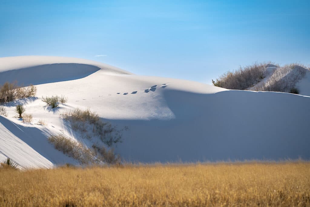 White Sands National Park in New Mexico on a sunny day