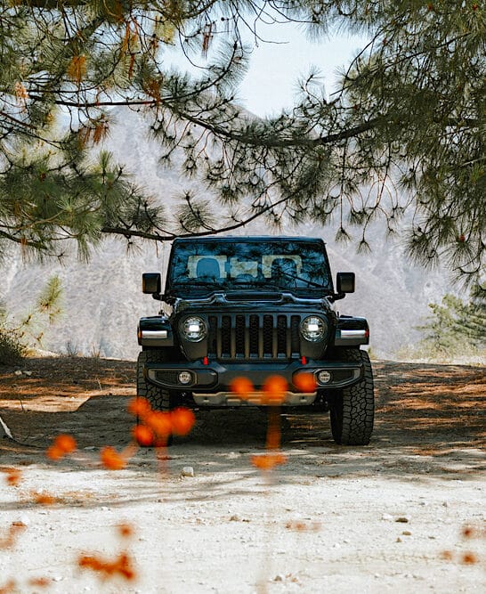 Black Jeep Gladiator parked in a rural forest with mountain valley in background