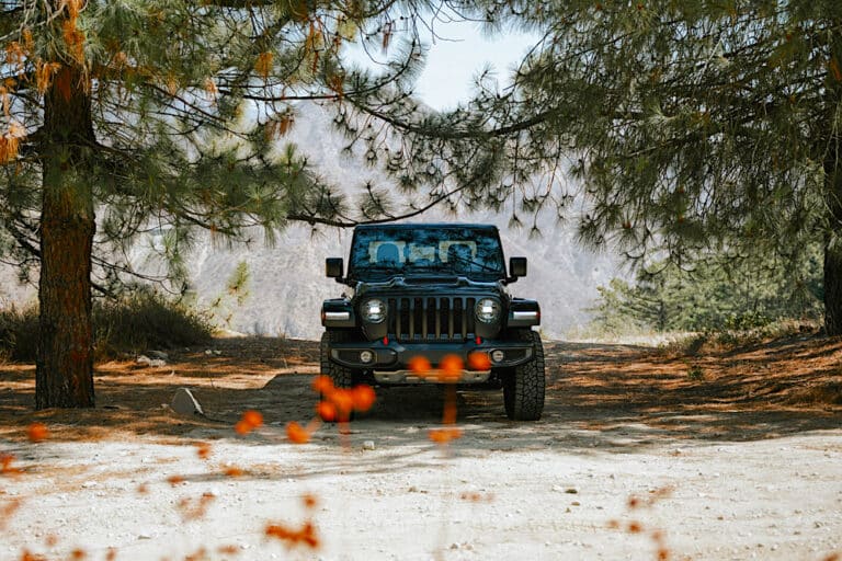 Black Jeep Gladiator parked in a rural forest with mountain valley in background
