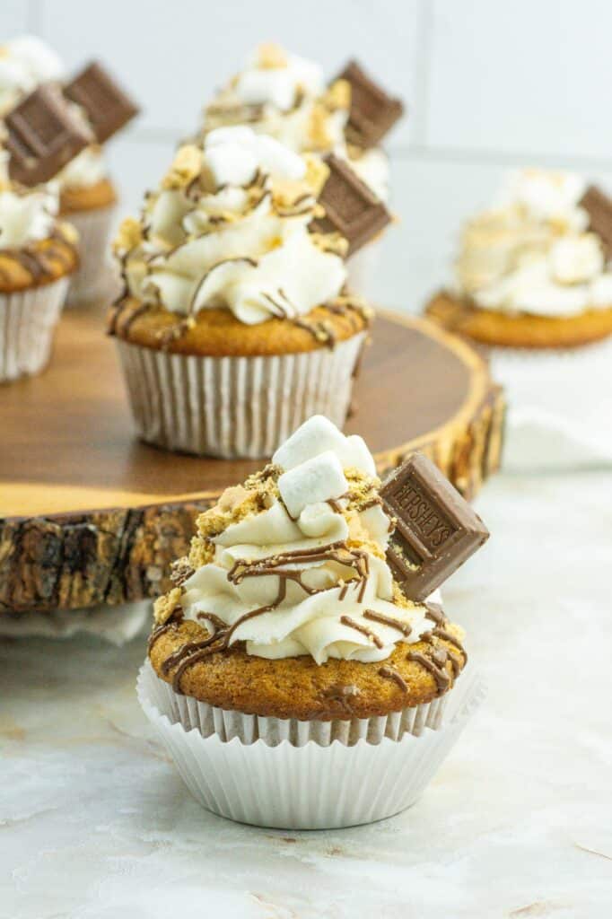 S'mores cupcakes with whipped cream and chocolate chips.