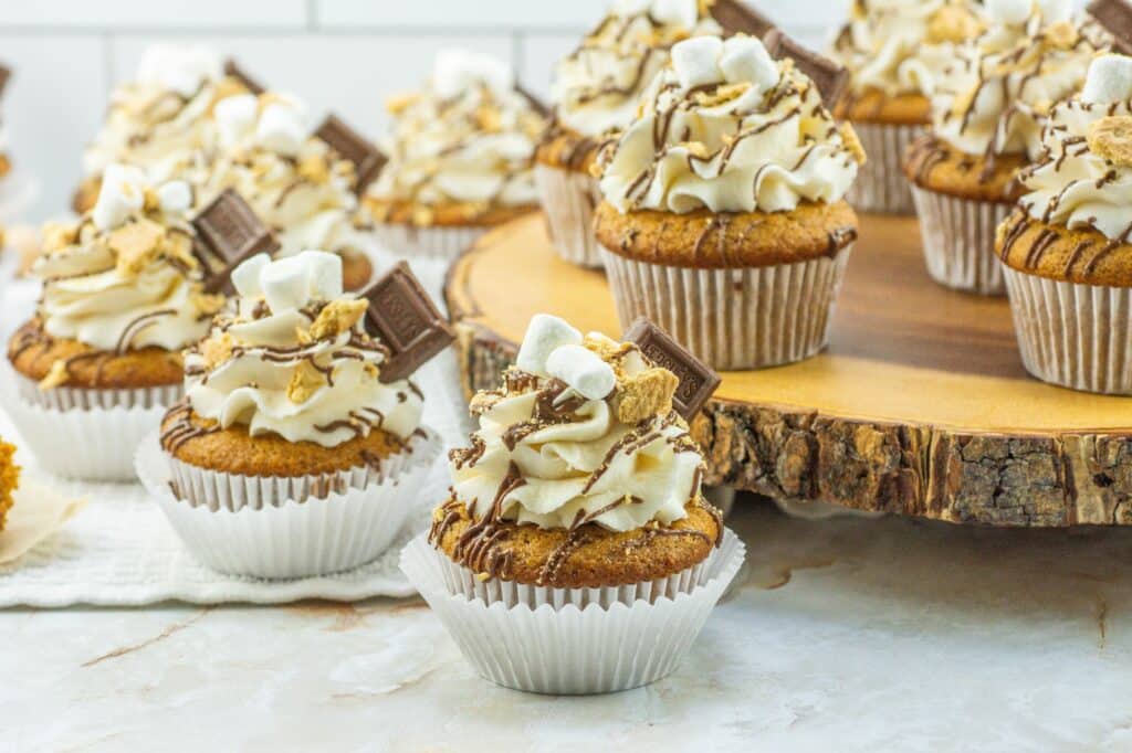 S'mores cupcakes with whipped cream and marshmallows.