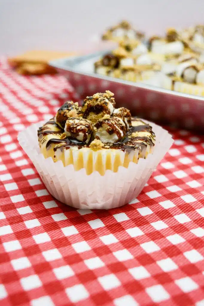 S'mores cupcakes on a red and white checkered tablecloth.