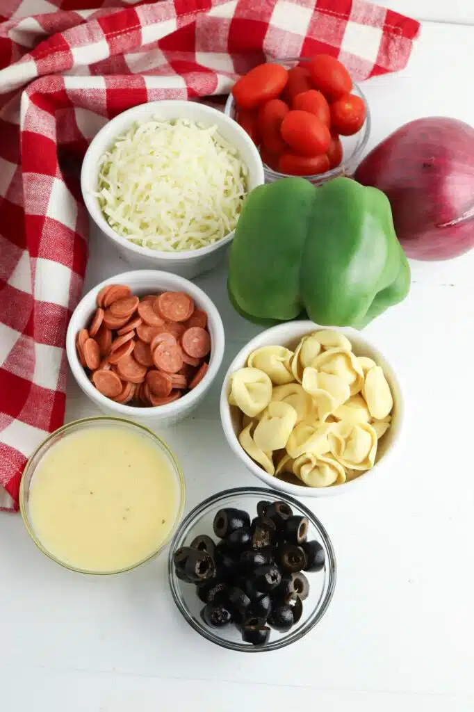 A bowl of pasta, tomatoes, olives, peppers and cheese.