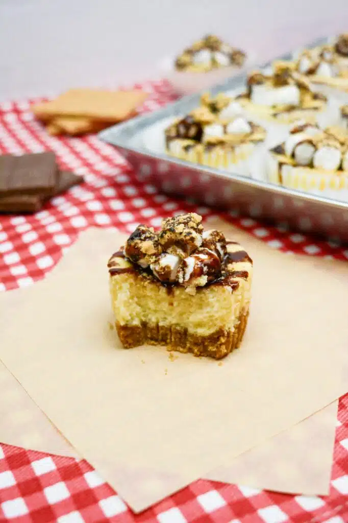 S'mores cheesecakes on a red checkered tablecloth.