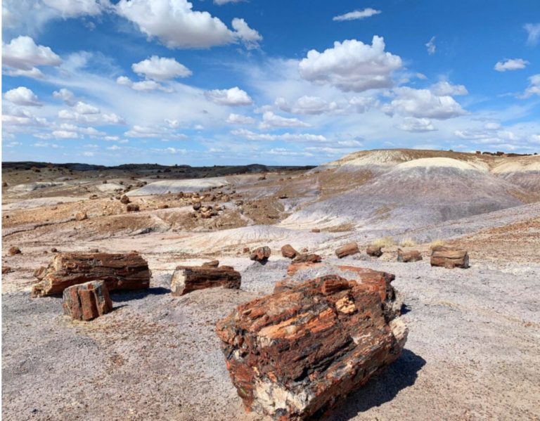 33 Petrified Forest National Park Travel Tips for 2026